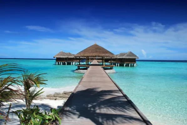 Best Discount Coupons on Flights and Hotels