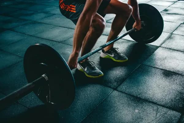 The Best Deals on Fitness Equipment: How to Build Your Body at a Lower Cost